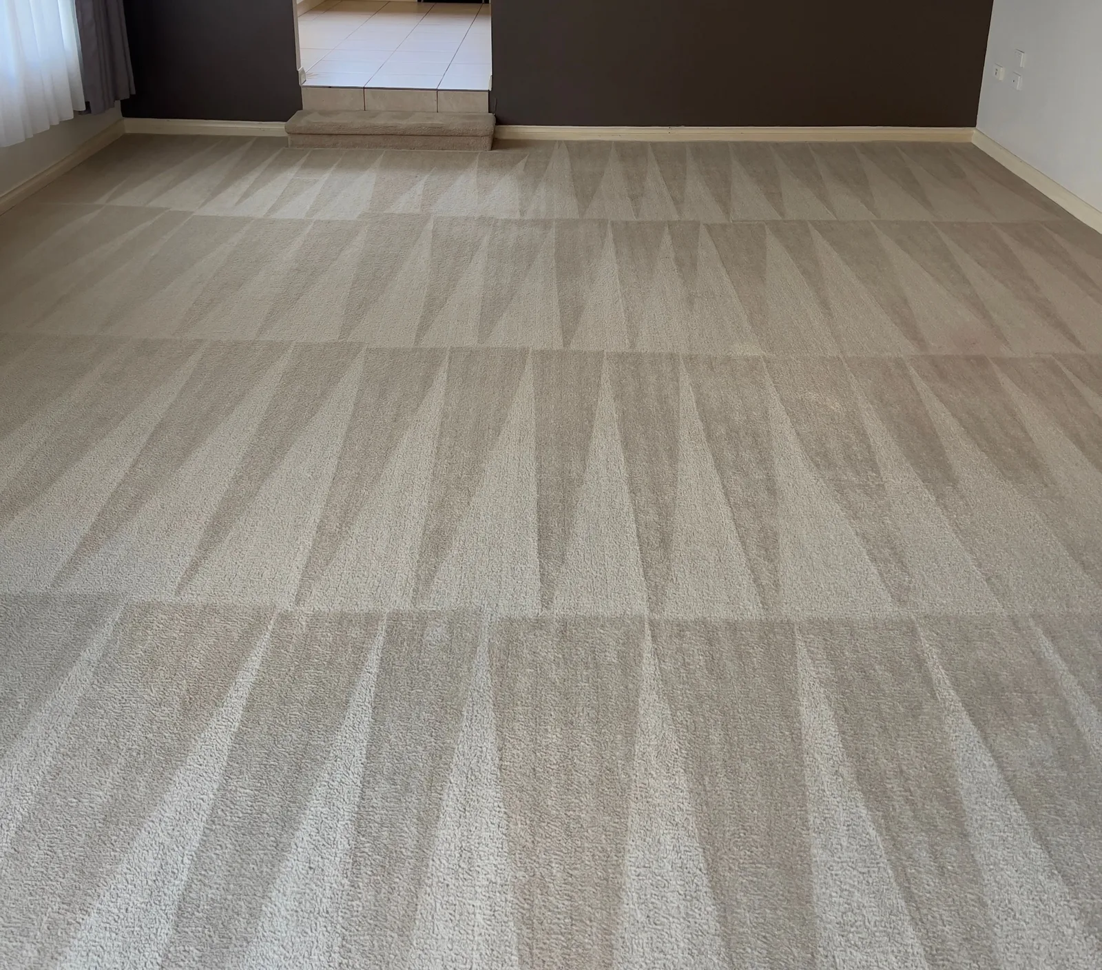 Green Lion technician steam cleaning a lounge-room carpet in a Point Cook home