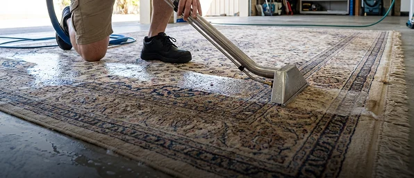 Wool area rug being carefully cleaned and restored in a Point Cook home