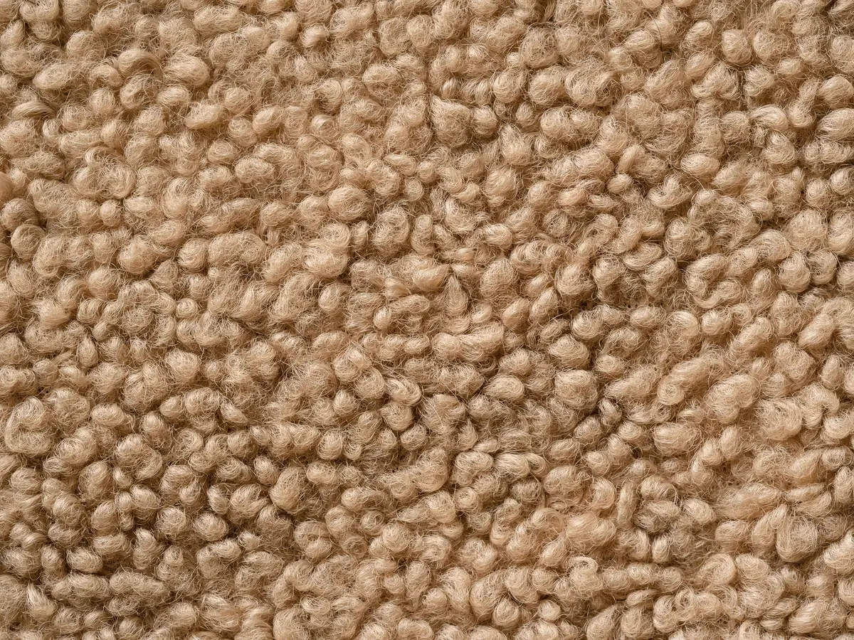 Wool carpet being cleaned with controlled moisture in a Melbourne west home